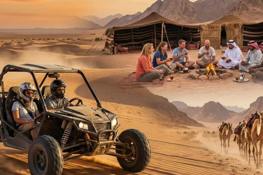 Buggy Spider Adventure